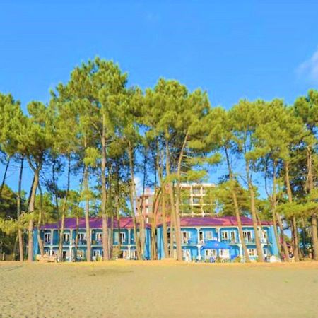 Evrika Hotel Shekvetili Экстерьер фото