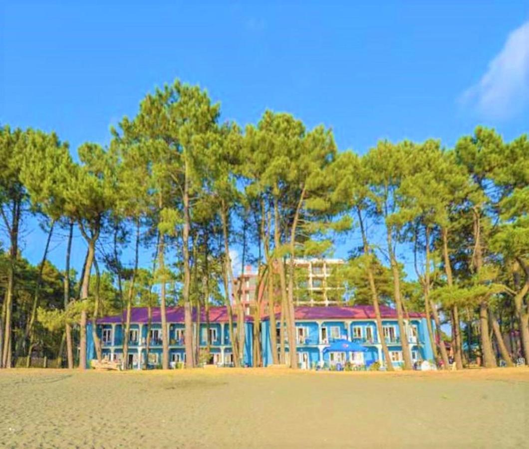 Evrika Hotel Shekvetili Экстерьер фото