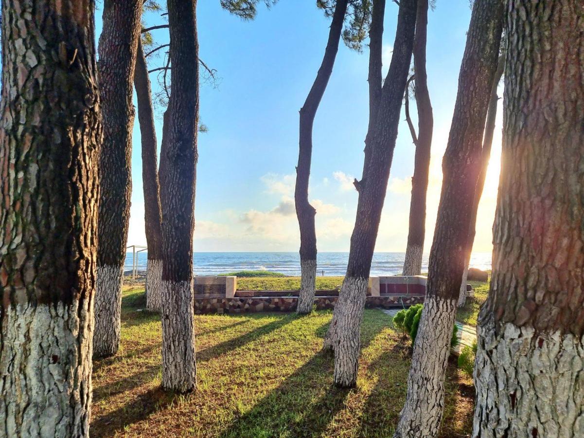 Evrika Hotel Shekvetili Экстерьер фото